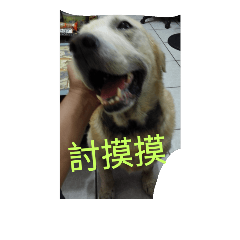 [LINEスタンプ] dogliveshow