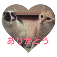 [LINEスタンプ] ちびすけとべいべいののんびりライフ