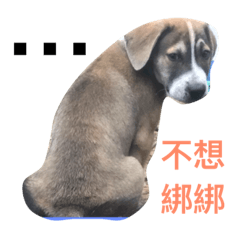 [LINEスタンプ] DOG UGLY