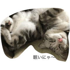 [LINEスタンプ] FRIENDdogcat