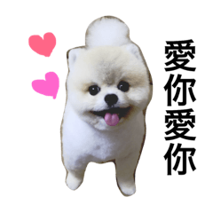 [LINEスタンプ] Pomeranian John John