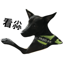 [LINEスタンプ] Blackie-Puppy 4 Life