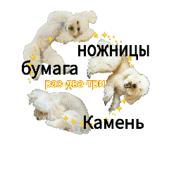 [LINEスタンプ] おうちプードル、ロシア語ジャン犬ポンの画像（メイン）