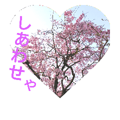 [LINEスタンプ] 桜咲く