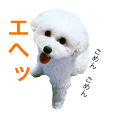 [LINEスタンプ] はみっつ