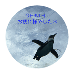 [LINEスタンプ] 水族館のなかまたち