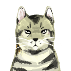 [LINEスタンプ] cat's speaking