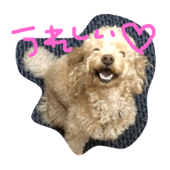 [LINEスタンプ] 愛犬 じよん