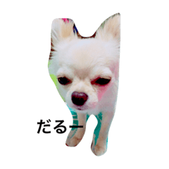 [LINEスタンプ] ふてこい犬