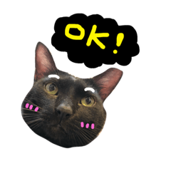 [LINEスタンプ] Mylovelycats