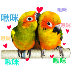 [LINEスタンプ] Bird ＆ Bird