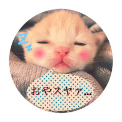 [LINEスタンプ] チビチビにゃんこ