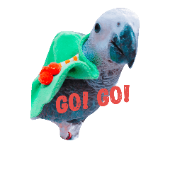 [LINEスタンプ] Gray parrot