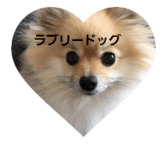 [LINEスタンプ] 犬バカの犬バカによる犬バカのための犬2