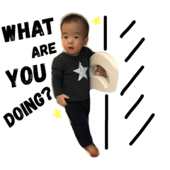 [LINEスタンプ] What are you doing..