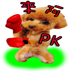 [LINEスタンプ] QQQQQQQQQQQQQQQQ