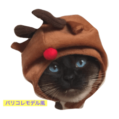 [LINEスタンプ] シャム猫マンチカン3