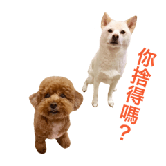 [LINEスタンプ] Wonder dog