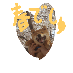 [LINEスタンプ] てんくんの春