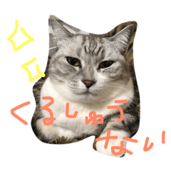 [LINEスタンプ] ジルぺこ