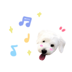 [LINEスタンプ] DOG-そら-