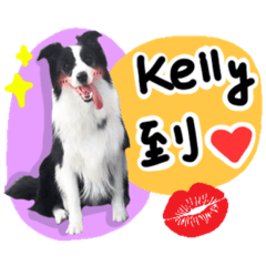 [LINEスタンプ] Kelly's Daily (900073000003121)