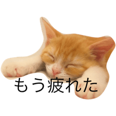 [LINEスタンプ] にこの独り言