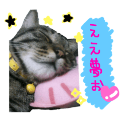 [LINEスタンプ] ちゃい＆峰子