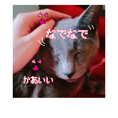 [LINEスタンプ] emoncat