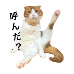 [LINEスタンプ] きなこもちくんとぽんずちゃん。