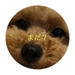 [LINEスタンプ] もこらぶ Part 2