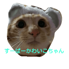 [LINEスタンプ] realneko