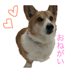 [LINEスタンプ] ピースの独り言