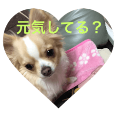 [LINEスタンプ] tkgcsyk