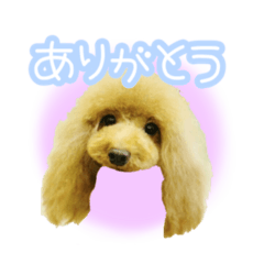 [LINEスタンプ] smile days 8