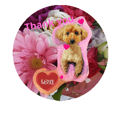 [LINEスタンプ] Lovely-poodle