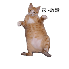 [LINEスタンプ] Fat Cat~