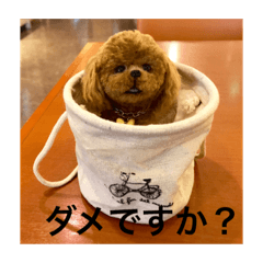 [LINEスタンプ] 羊毛フェルト犬