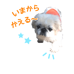 [LINEスタンプ] 狆獣と子グマ2(時々ペキ)