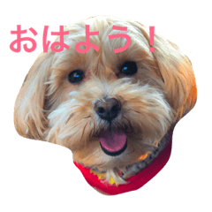 [LINEスタンプ] MONOE4dogs