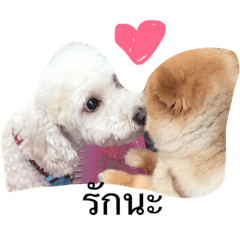 [LINEスタンプ] The Poodle Krailarn