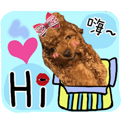 [LINEスタンプ] Puppy's Daily