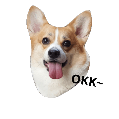 [LINEスタンプ] bebe nana the corgi