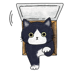 [LINEスタンプ] 日々猫スタンプ 2