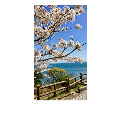 [LINEスタンプ] 海と桜スタンプ