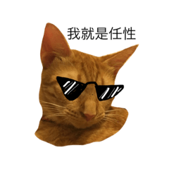 [LINEスタンプ] Reike cat-Just capricious