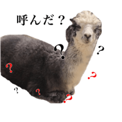 [LINEスタンプ] どうぶつさんたちと