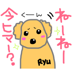 [LINEスタンプ] トイプーのリュウくん。