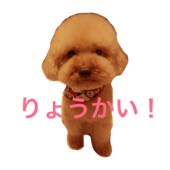 [LINEスタンプ] コロンのすたんぷ