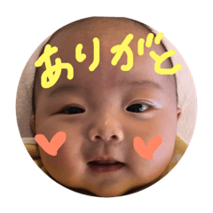 [LINEスタンプ] きこすたん